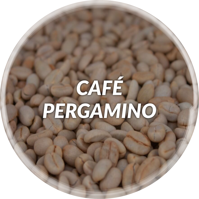 café pergamino