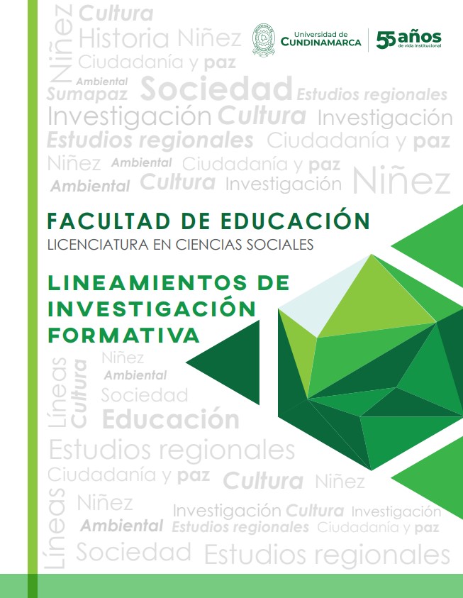 Lineamientos de investigación formativa