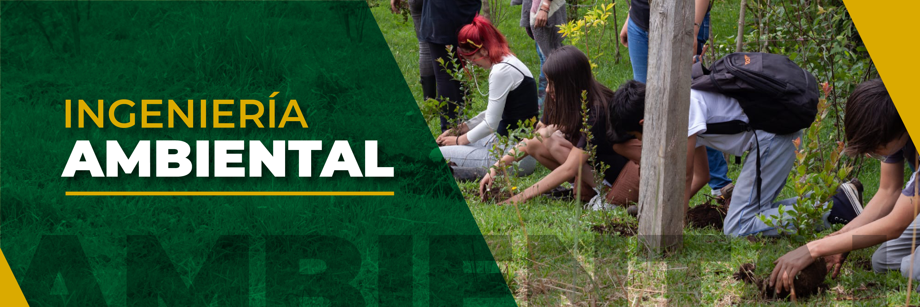 Banner de ingeniería ambiental