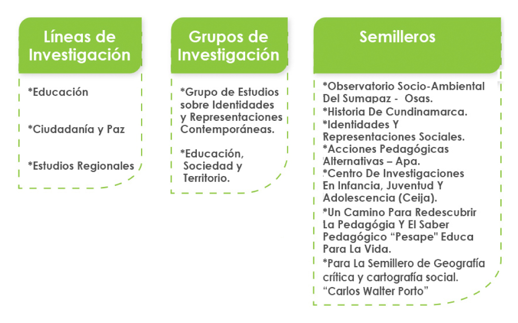 Líneas. grupos. semilleros