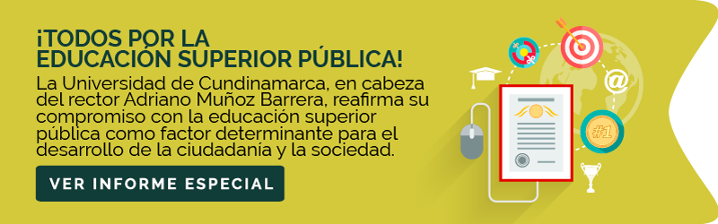 informeespecial-educacion-superior.png