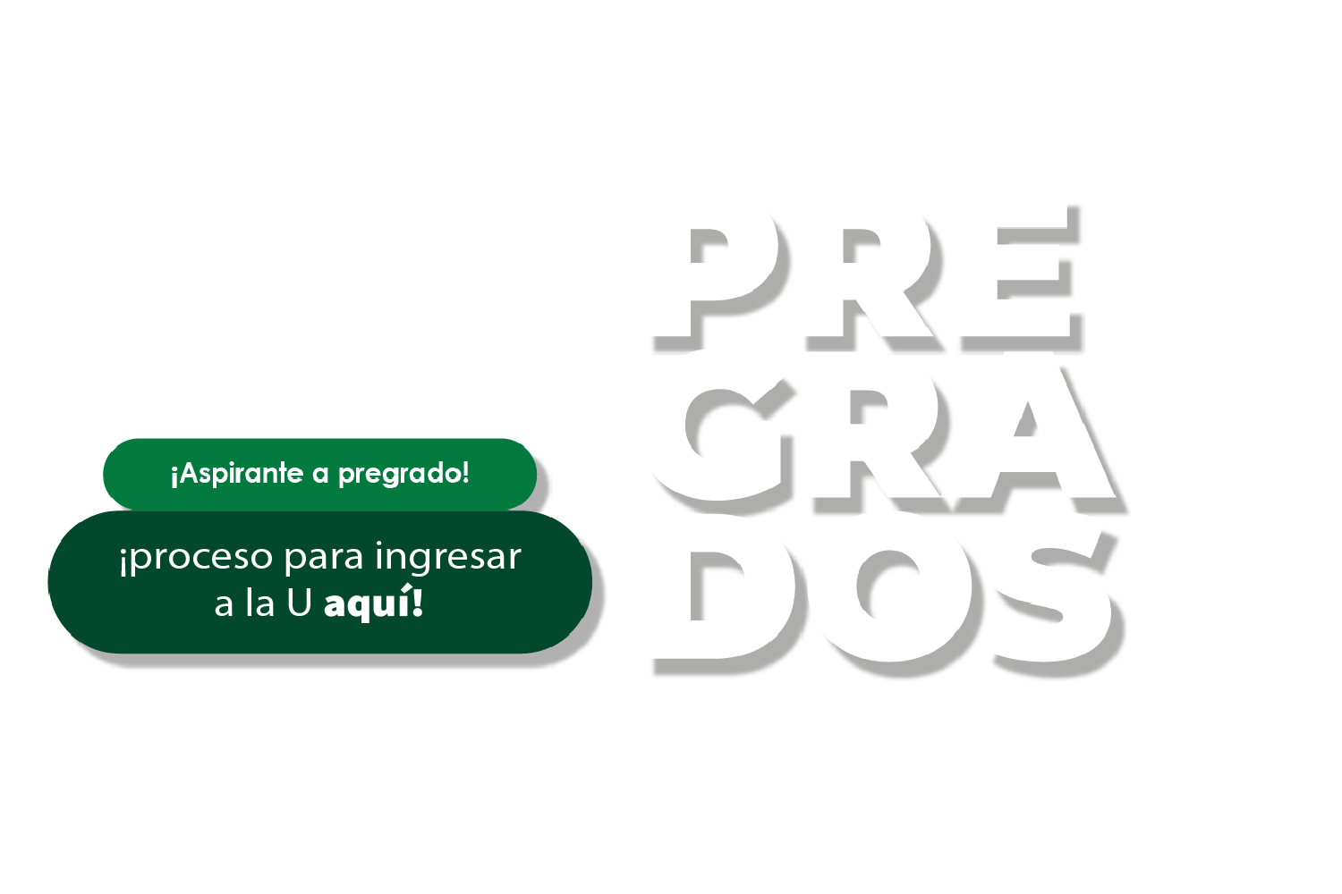 Aspirante a Pregrado, ¡proceso para ingresar a la U aquí!