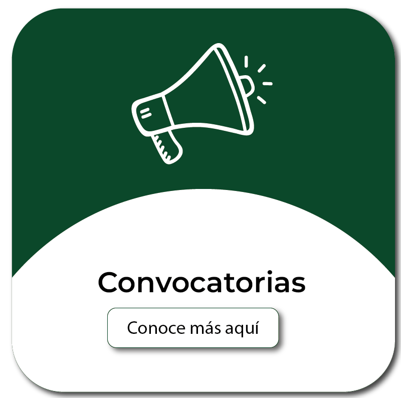 Convocatorias