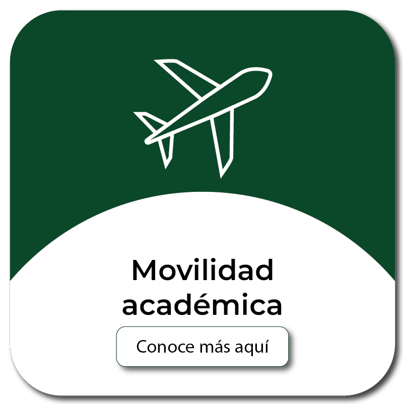 Movilidad académica