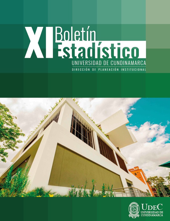 Boletín estadístico XI