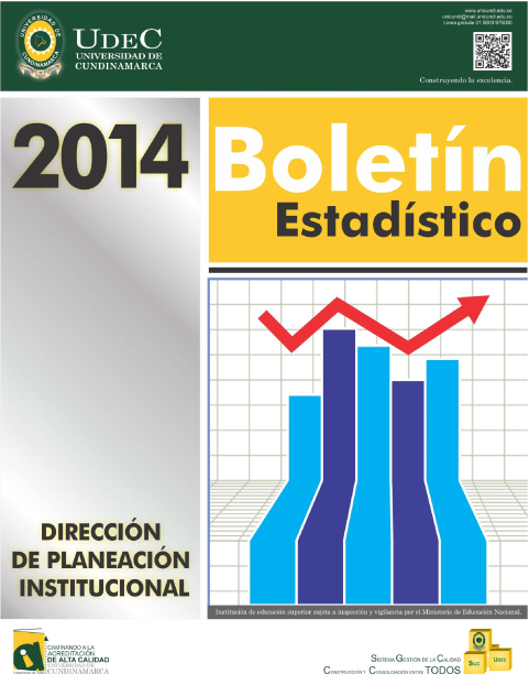 boletin-estadistico-v.jpg