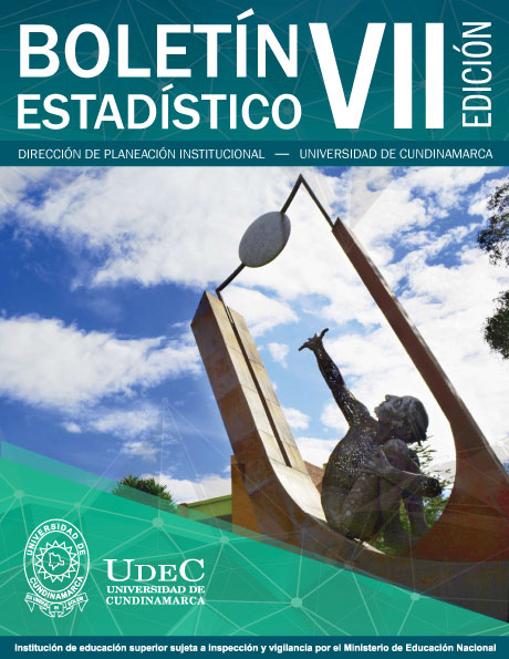 boletin-estadistico-vii.jpg