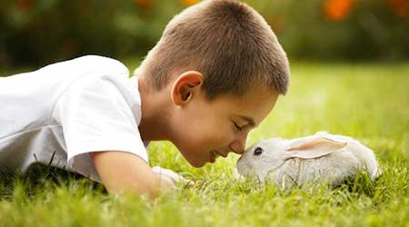 niño tocando nariz con nariz con un conejo