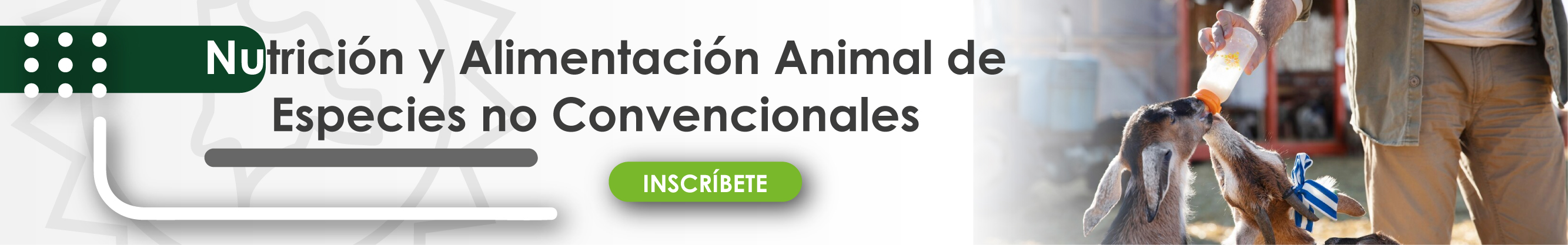 Nutrición y alimentación animal de las especies no convencionales