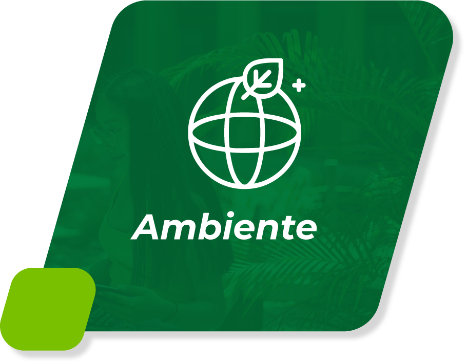 Ambiente