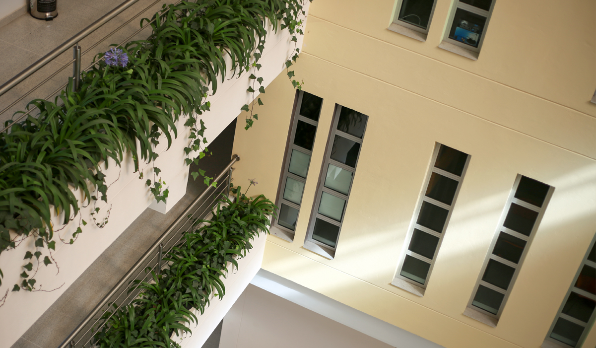 Imagen Ventanales Extensión Zipaquirá