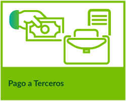 Pago a Terceros