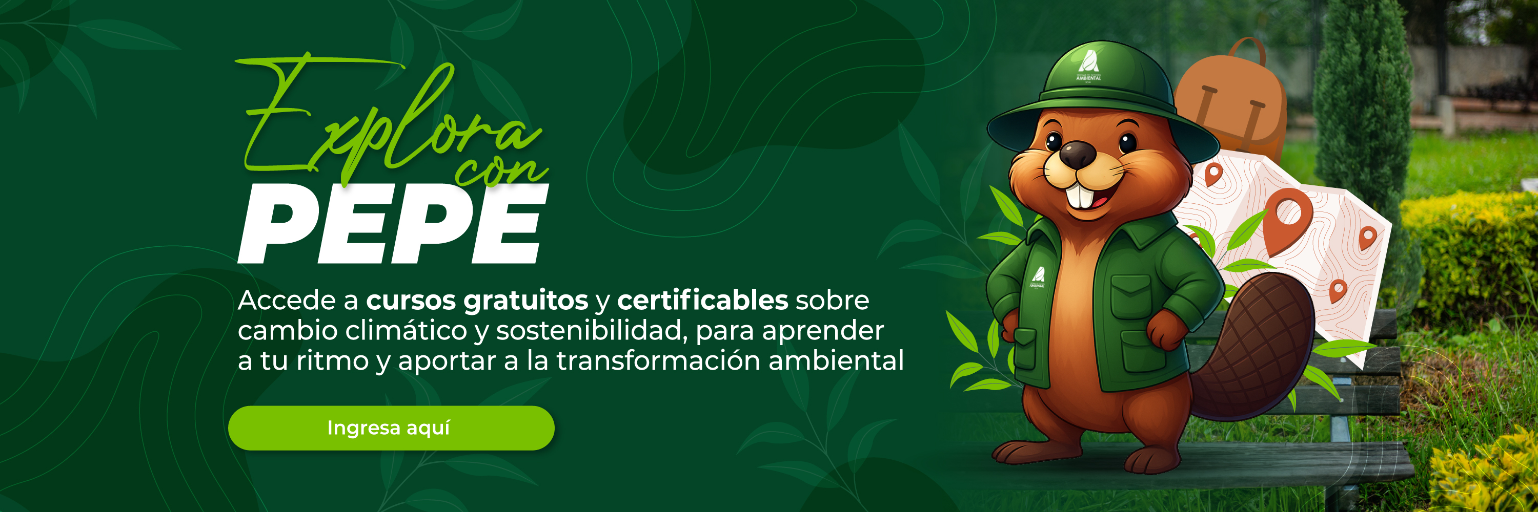 Explora con PEPE