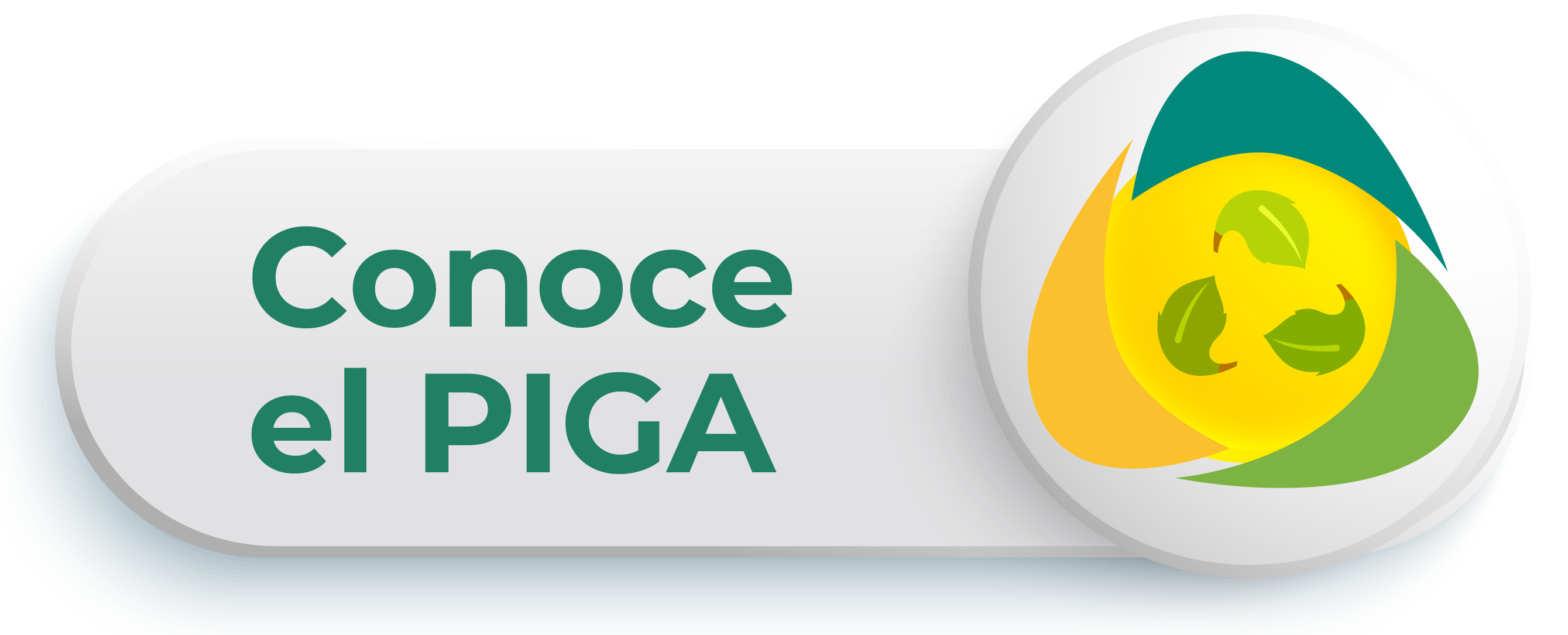 Conoce el PIGA Aqui
