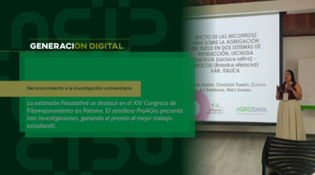 Reconocimiento a la investigación universitaria