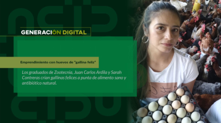 Emprendimiento con huevos de “gallina feliz”