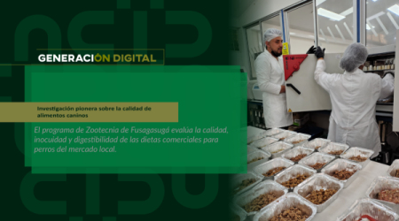 Investigación pionera sobre la calidad de alimentos caninos