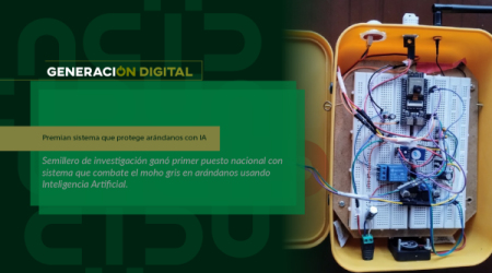 ​Premian sistema que protege arándanos con IA