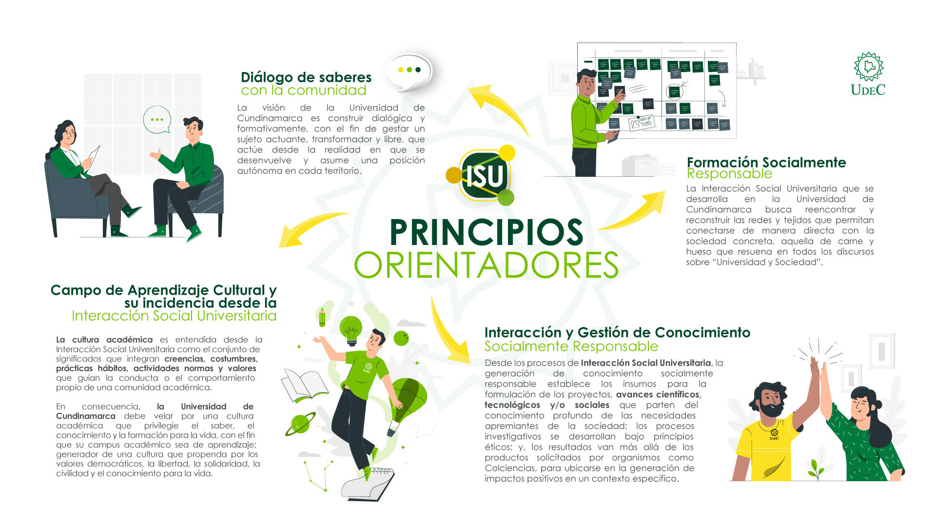 Principios orientadores