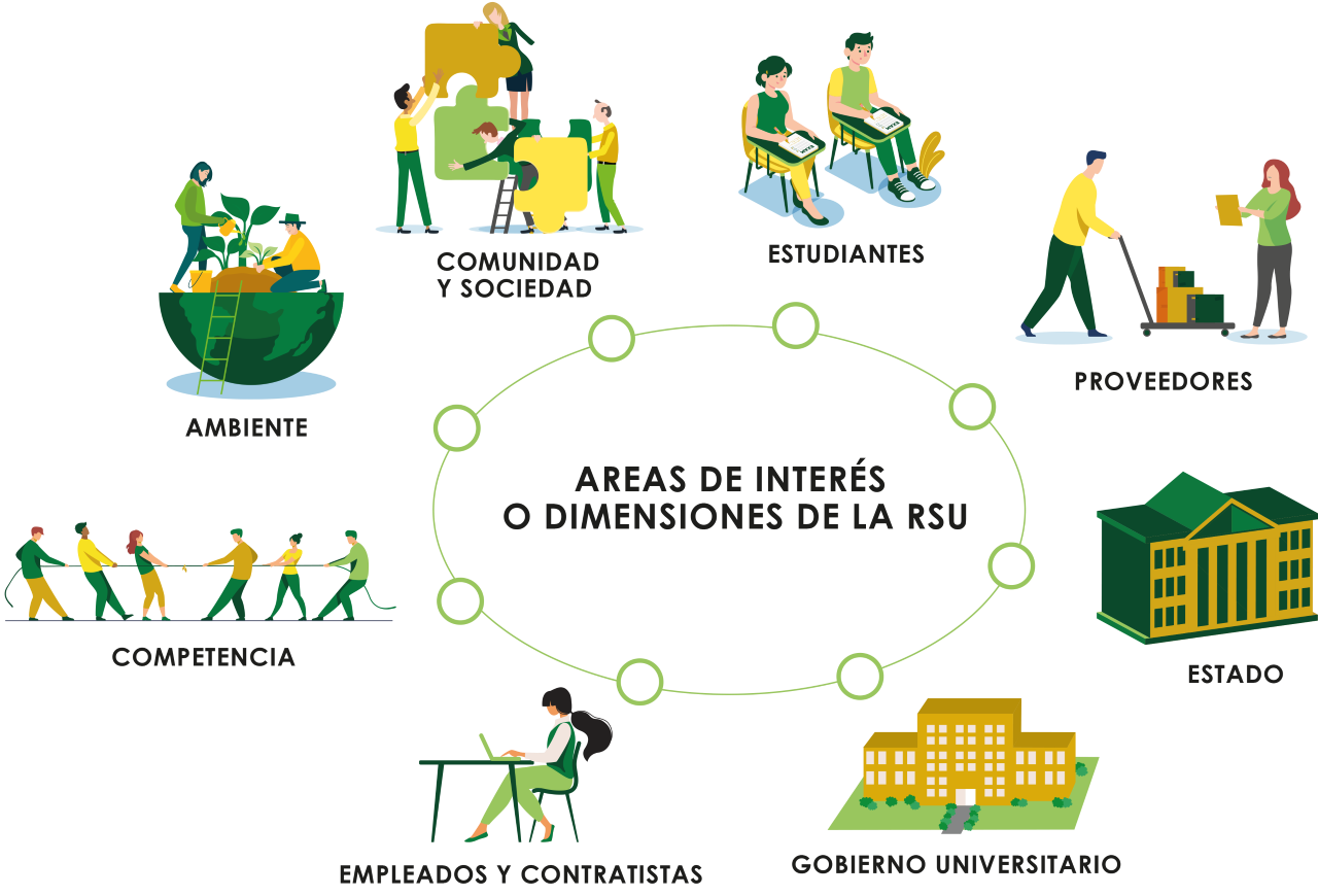 áreas de interés o dimensiones de la RSU