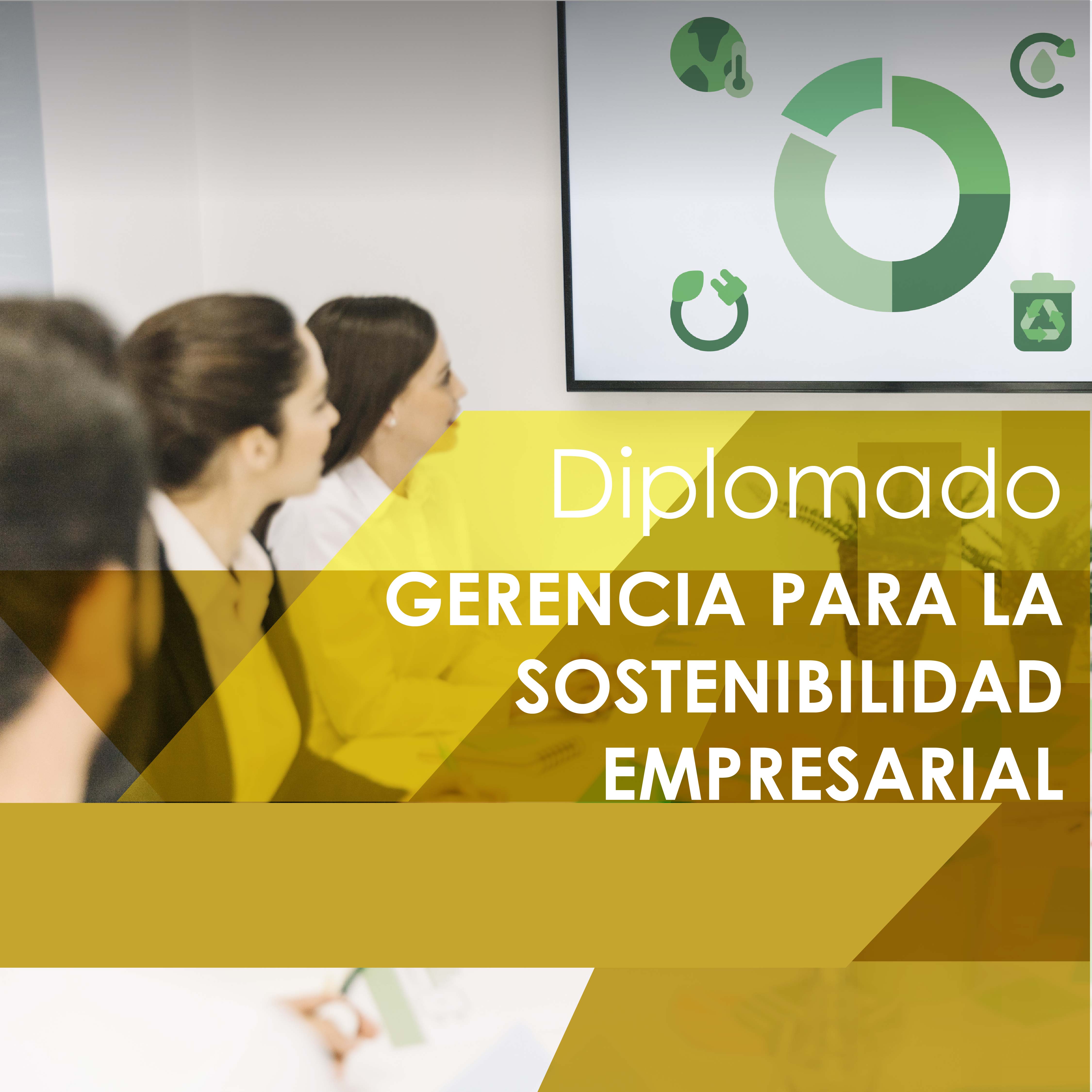 Diplomado en Gerencia Para la Sostenibilidad Empresarial