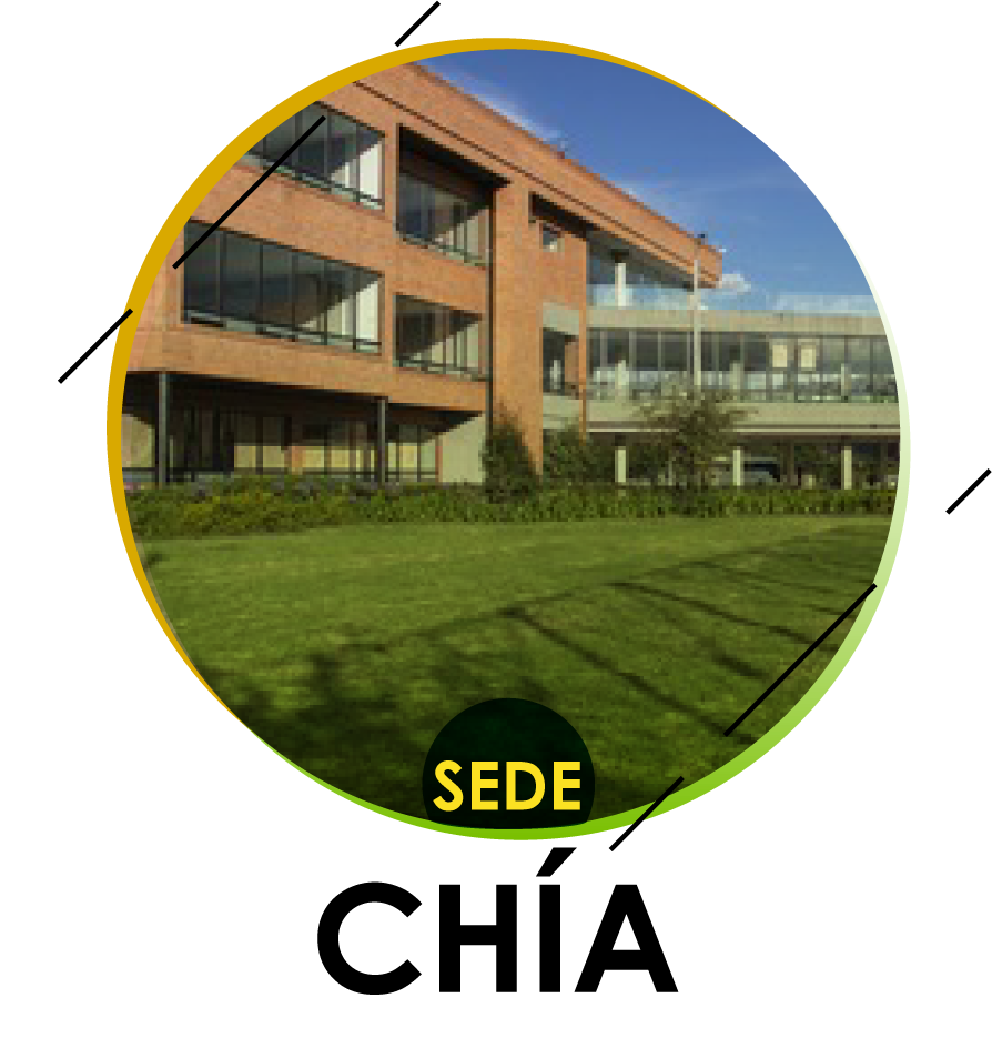 sede chía