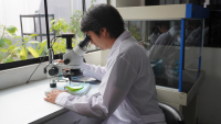 De la ciencia al campo
