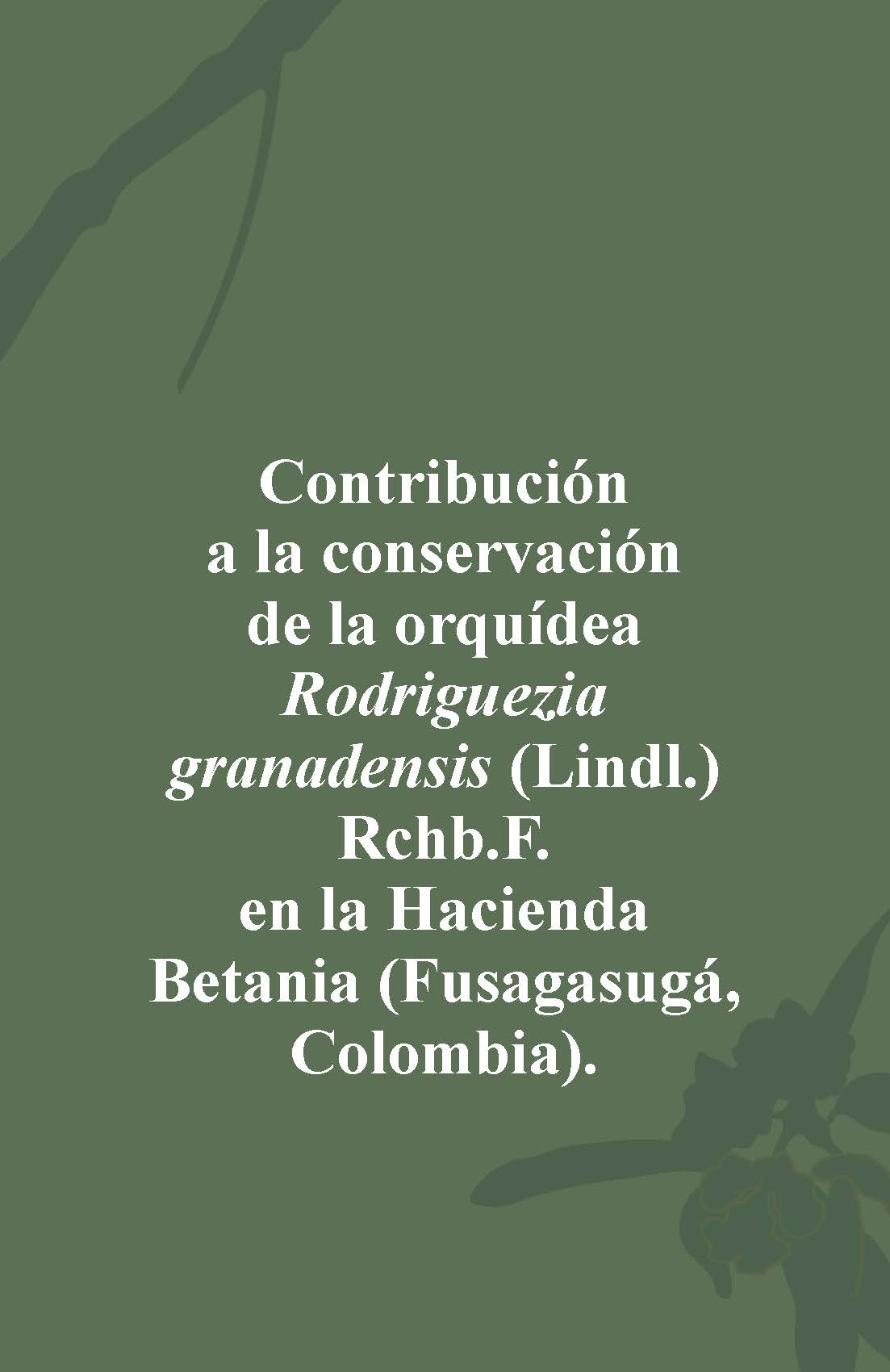 CONTRIBUCIÓN A LA CONSERVACIÓN DE LA ORQUÍDEA Rodriguezia granadensis (Lindl.) Rchb.f. EN LA HACIENDA BETANIA (FUSAGASUGÁ, COLOMBIA)