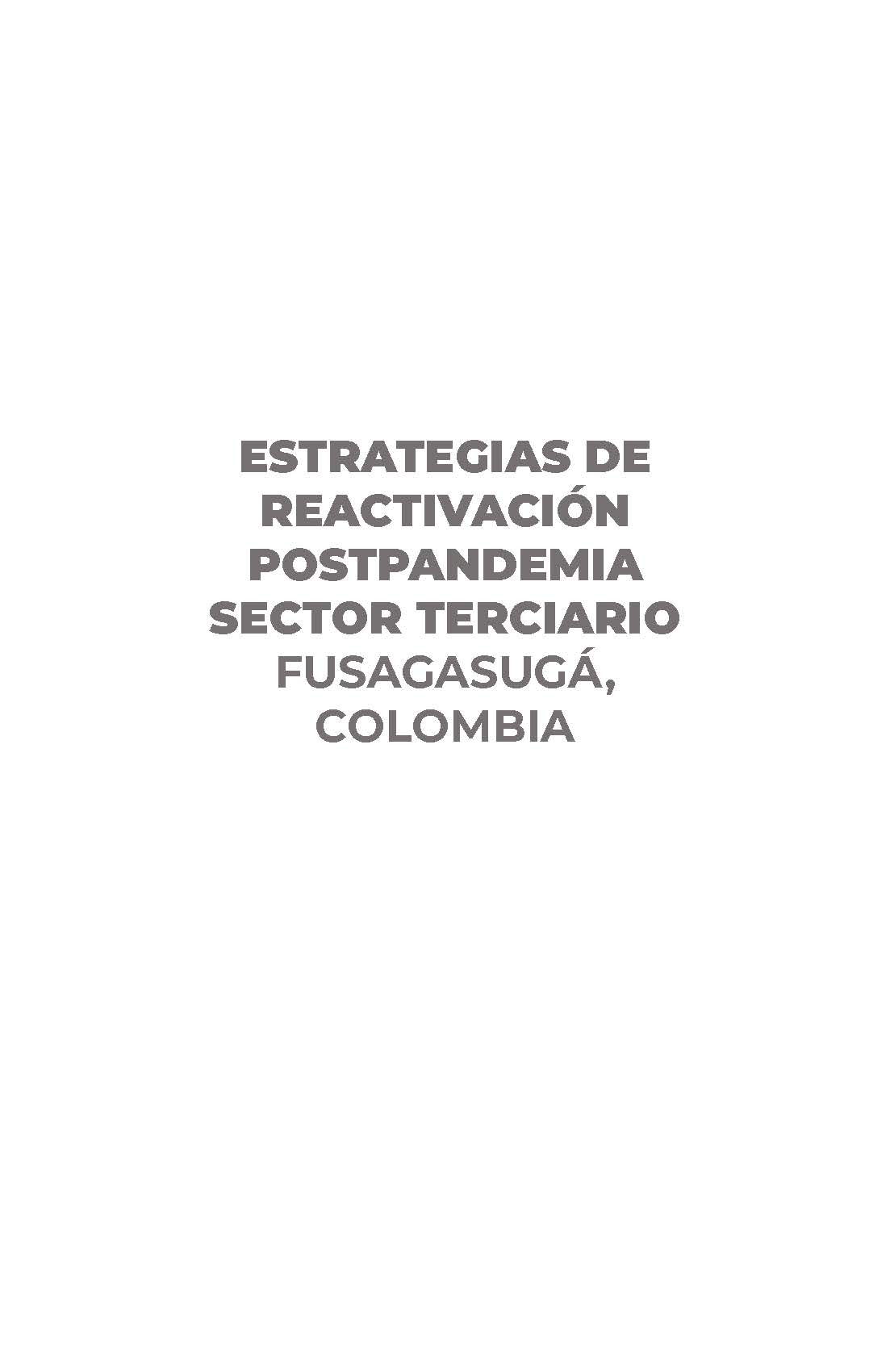 Estrategias de Reactivación Postpandemia Sector Terciario, Fusagasugá, Colombia