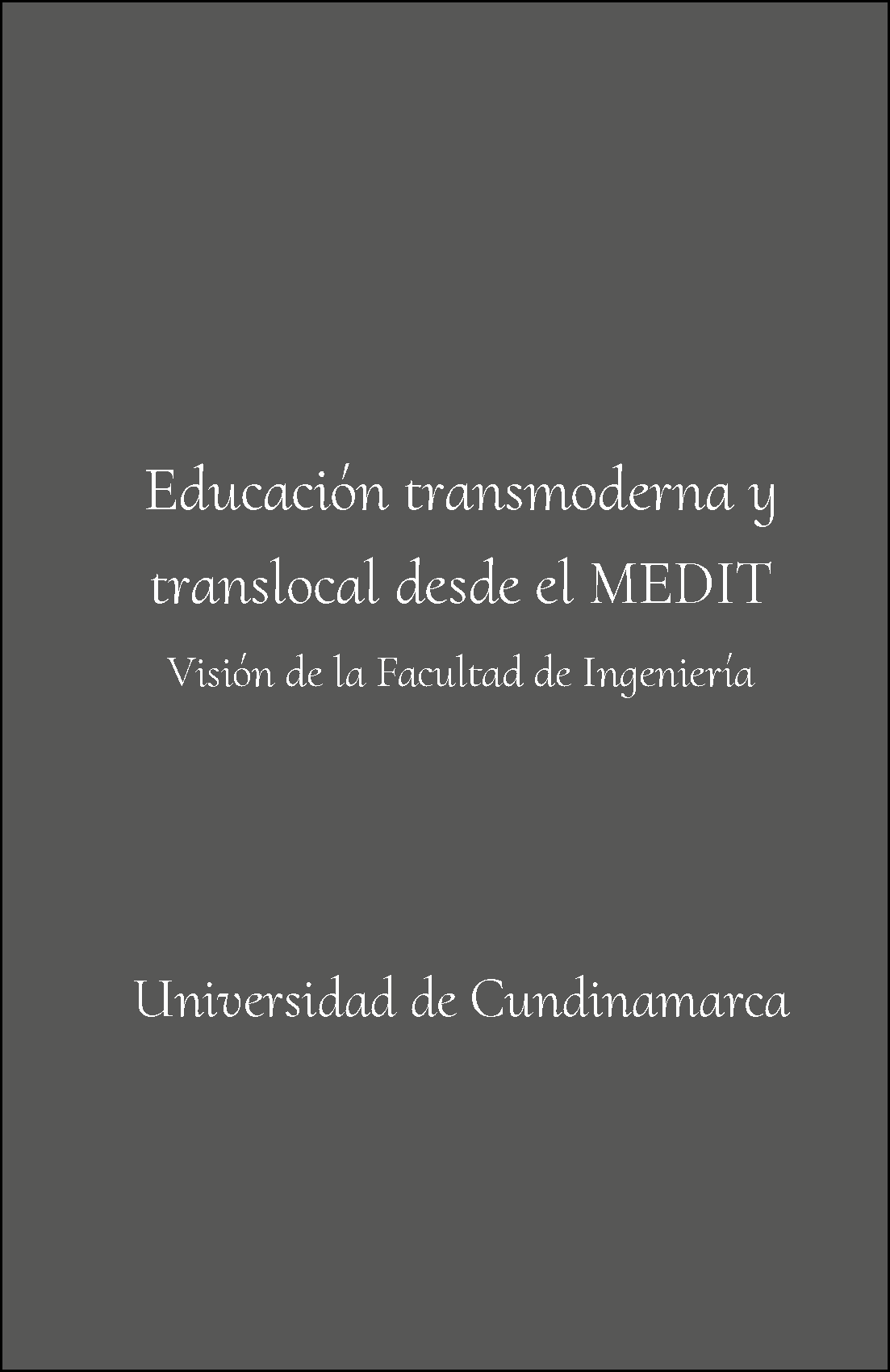 Educación Transmoderna y Translocal desde el MEDIT. Visión de la facultad de ingeniería