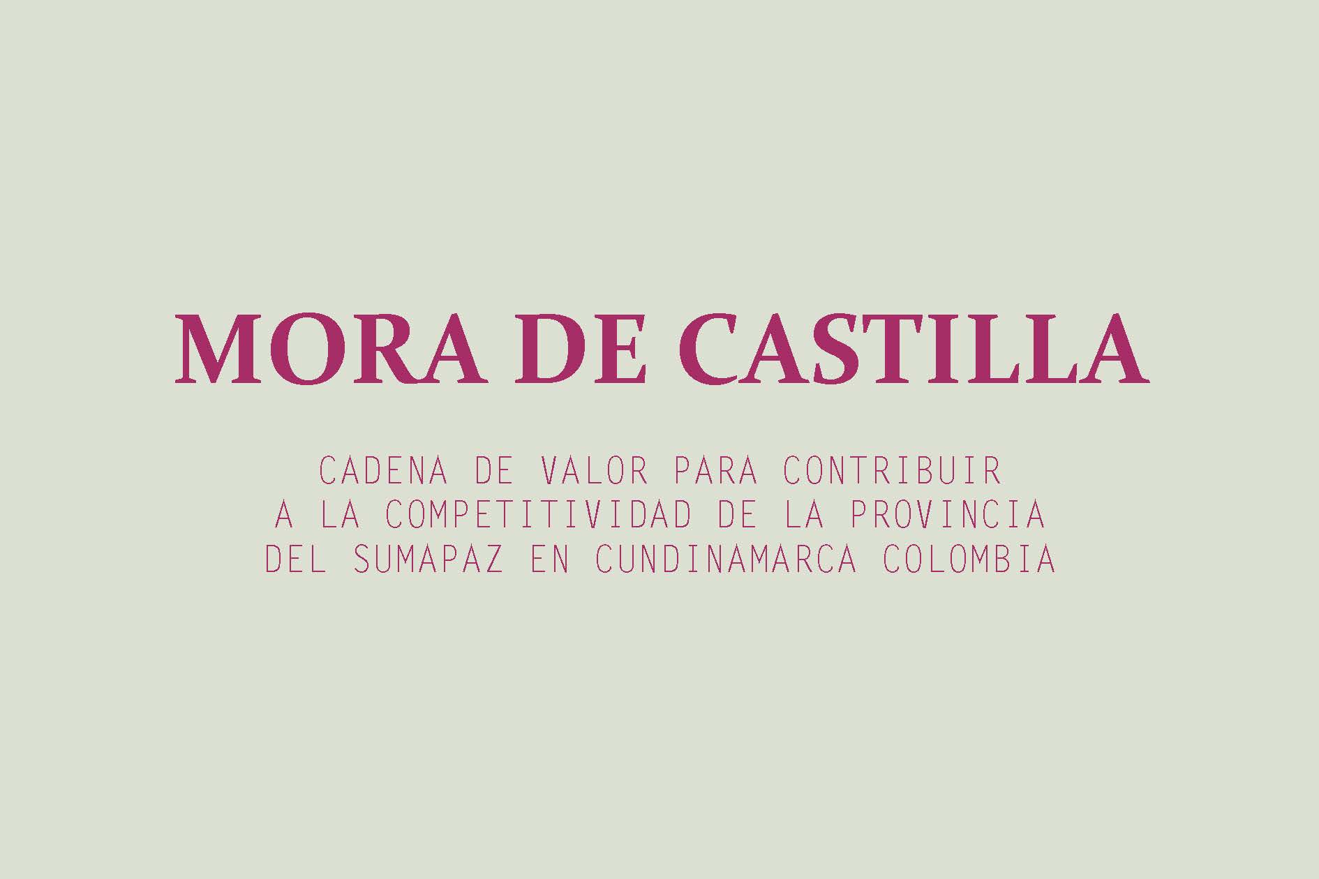 MORA DE CASTILLA: CADENA DE VALOR PARA CONTRIBUIR A LA COMPETITIVIDAD DE LA PROVINCIA DEL SUMAPAZ EN CUNDINAMARCA COLOMBIA