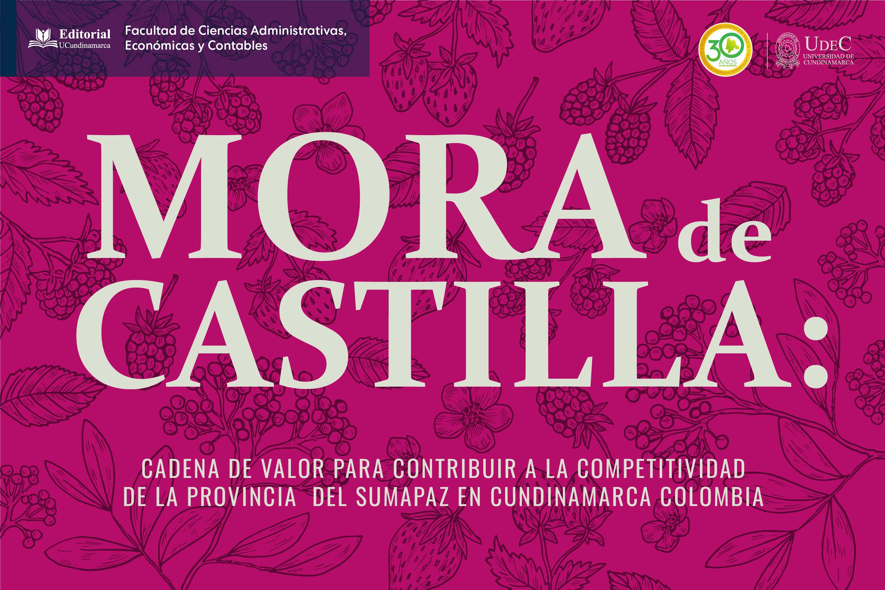 MORA DE CASTILLA: CADENA DE VALOR PARA CONTRIBUIR A LA COMPETITIVIDAD DE LA PROVINCIA DEL SUMAPAZ EN CUNDINAMARCA COLOMBIA