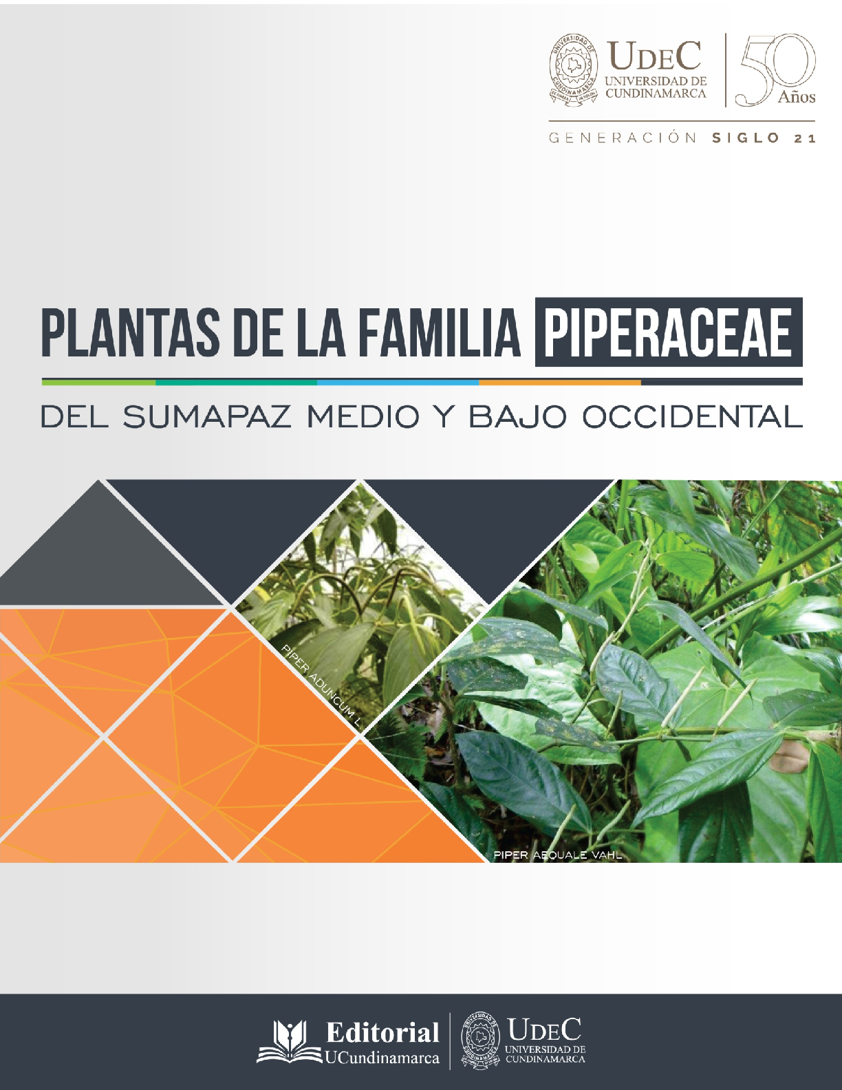 Plantas De La Familia Piperaceae Del Sumapaz Medio Y Bajo Occidental