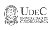 Unidad de Apoyo Academico